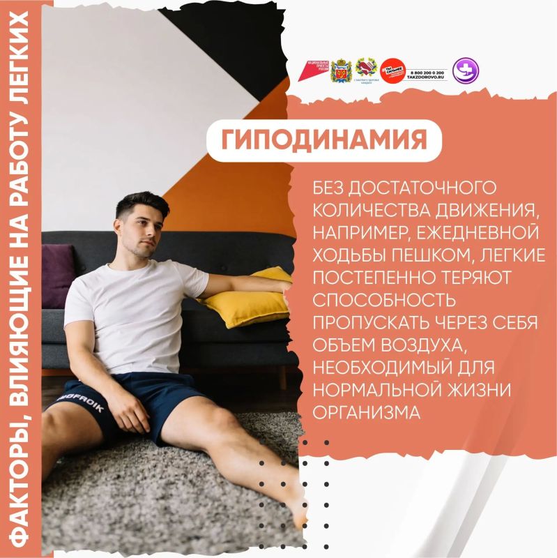 Здоровье лёгких: как сохранить главный дыхательный орган Здоровье лёгких: как сохранить главный дыхательный орган