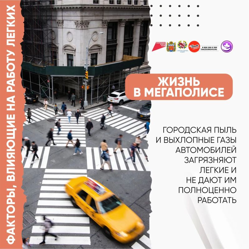 Здоровье лёгких: как сохранить главный дыхательный орган Здоровье лёгких: как сохранить главный дыхательный орган