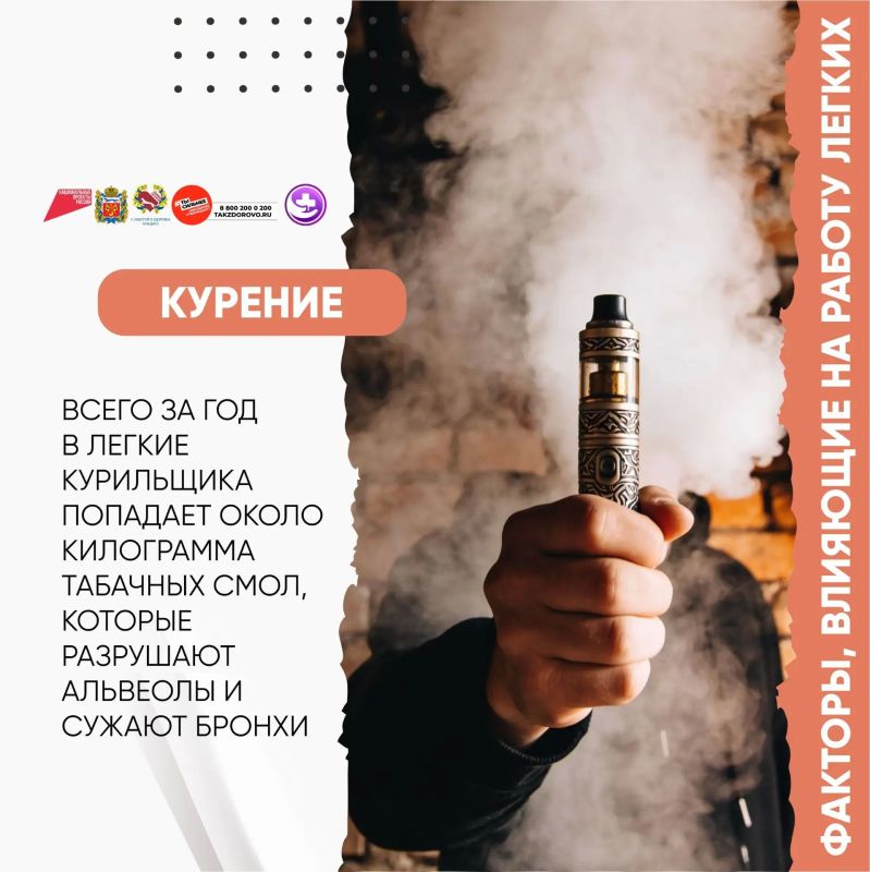 Здоровье лёгких: как сохранить главный дыхательный орган