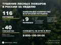 По данным Авиалесоохраны, подведомственной организации Рослесхоза, за прошедшую неделю потушено 116 лесных пожаров в 23 регионах России