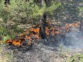 В Оренбуржье сначала года произошел 851 пожар