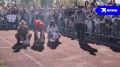 Гусиные бега начались. Зрелище шикарное