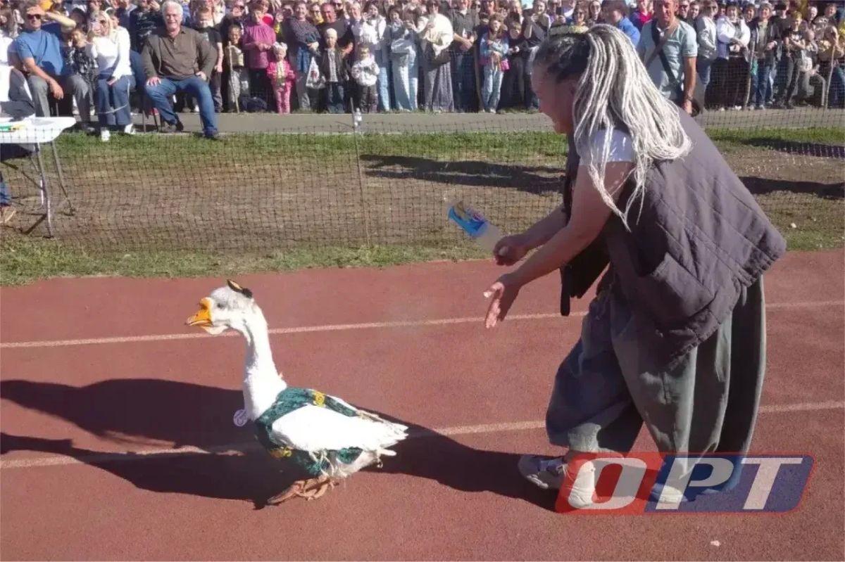 В Чёрном Отроге сегодня всё по-гусиному: прошел фестиваль «Га-га-гуси» В Чёрном Отроге сегодня всё по-гусиному: прошел фестиваль «Га-га-гуси»
