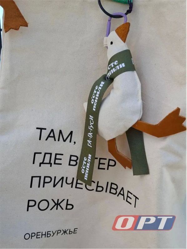 Сегодня в Чёрном Отроге по-настоящему гусиный день!