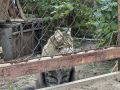Ночные заморозки ожидаются в Оренбургской области