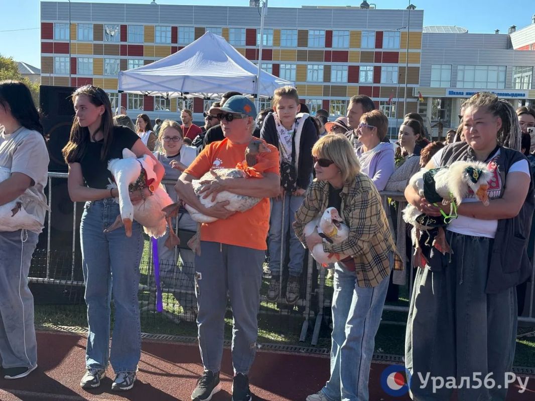 В Черном отроге завершились забеги гусей на фестивале «Га-га-гуси» В Черном отроге завершились забеги гусей на фестивале «Га-га-гуси»
