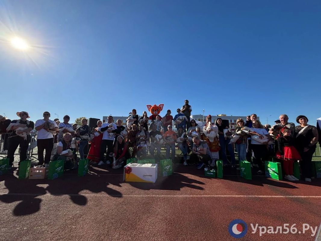 В Черном отроге завершились забеги гусей на фестивале «Га-га-гуси» В Черном отроге завершились забеги гусей на фестивале «Га-га-гуси»
