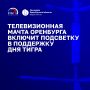 Телевизионная мачта Оренбурга включит подсветку в поддержку Дня тигра