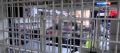 «Фрукты, творог и яйца»: в России обновили рацион для заключенных