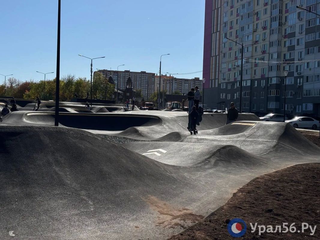 Памп-трек, скейт-площадка и зона для собак Памп-трек, скейт-площадка и зона для собак