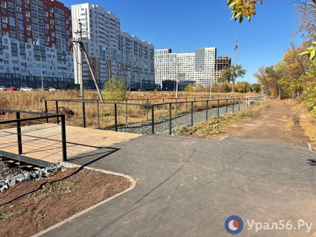 Памп-трек, скейт-площадка и зона для собак Памп-трек, скейт-площадка и зона для собак