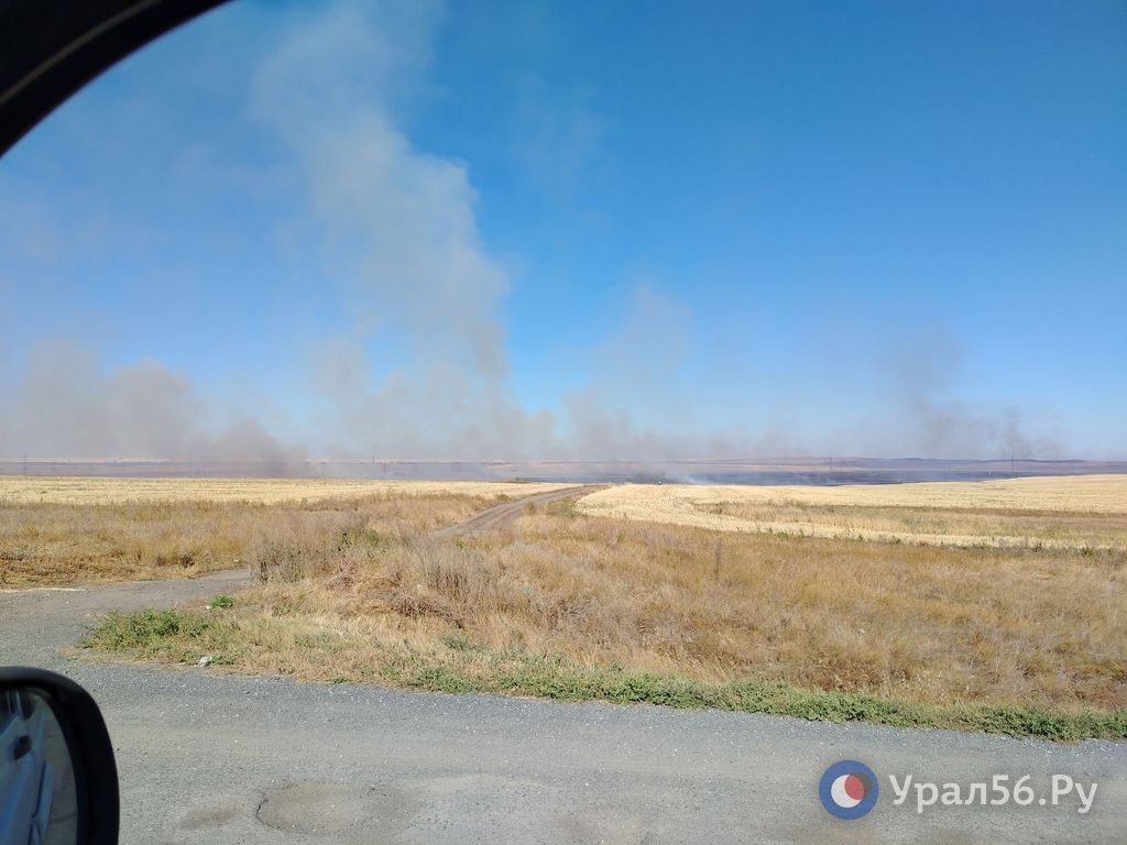 Под Орском сегодня вновь горят степи Под Орском сегодня вновь горят степи
