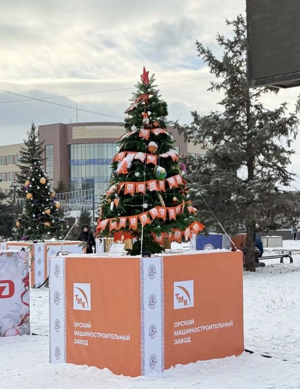Аллея елок — 2027: прием заявок открыт Аллея елок — 2027: прием заявок открыт