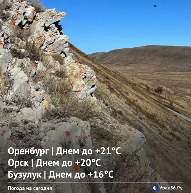 Доброе утро