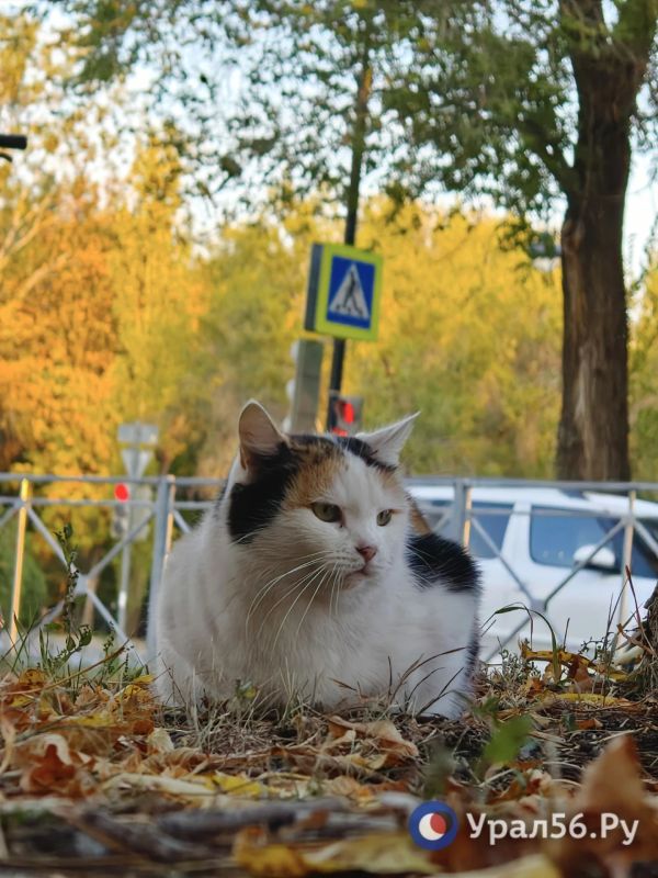 Оренбург в первый день октября