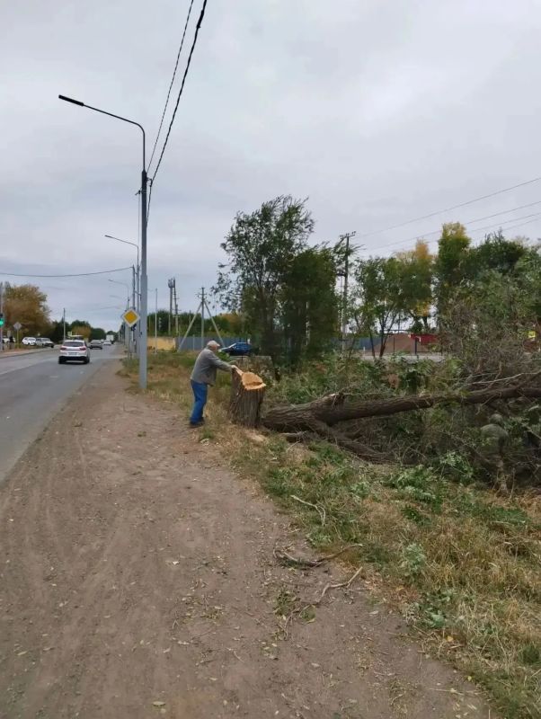 В Оренбурге продолжается осенний месячник благоустройства В Оренбурге продолжается осенний месячник благоустройства