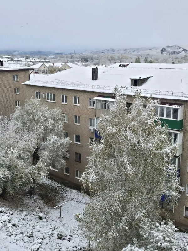 Сразу в нескольких районах Оренбургской области выпал первый снег Сразу в нескольких районах Оренбургской области выпал первый снег