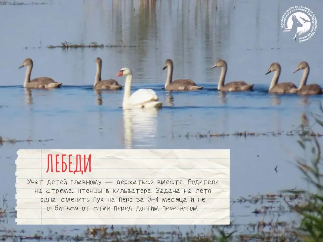 У природы в Оренбургской области есть свои учителя У природы в Оренбургской области есть свои учителя