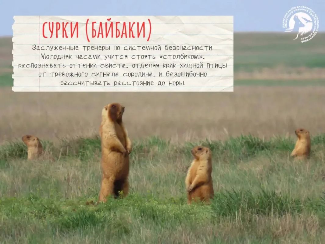 У природы в Оренбургской области есть свои учителя У природы в Оренбургской области есть свои учителя