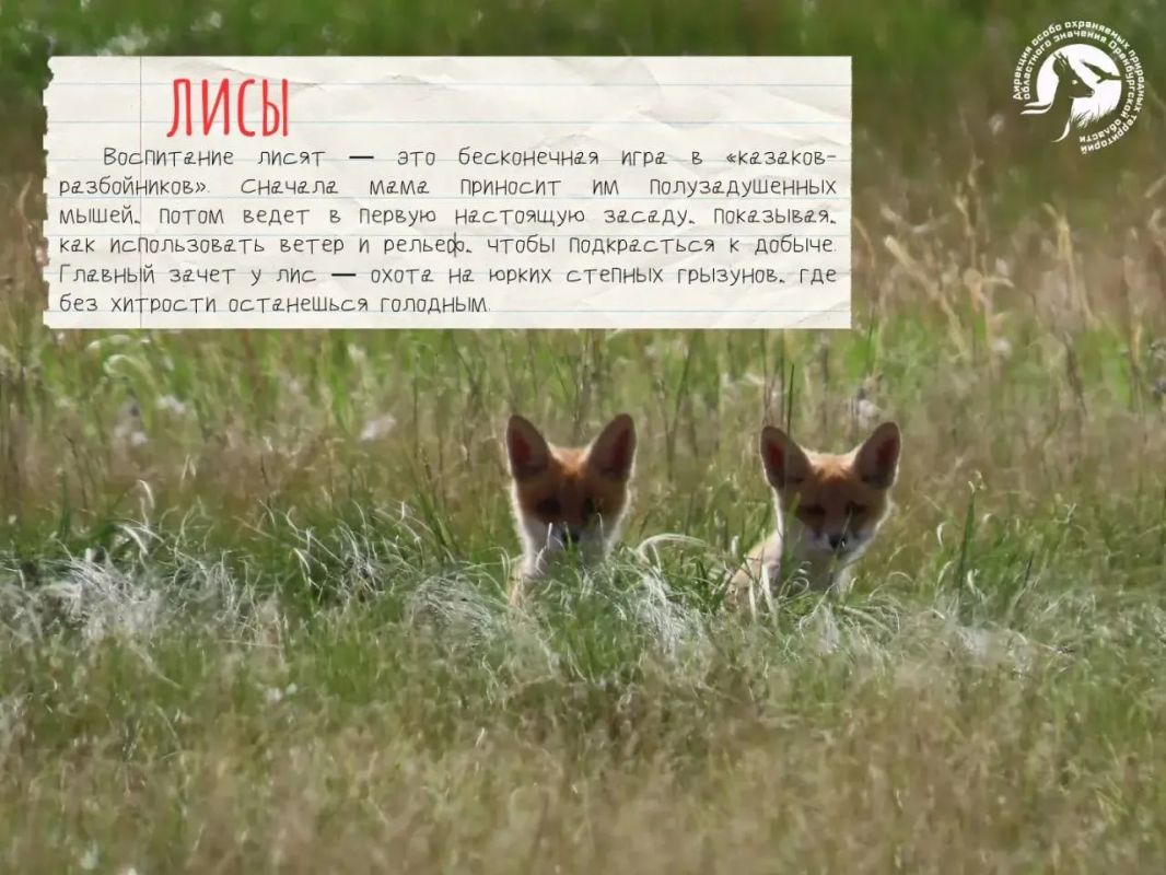 У природы в Оренбургской области есть свои учителя У природы в Оренбургской области есть свои учителя