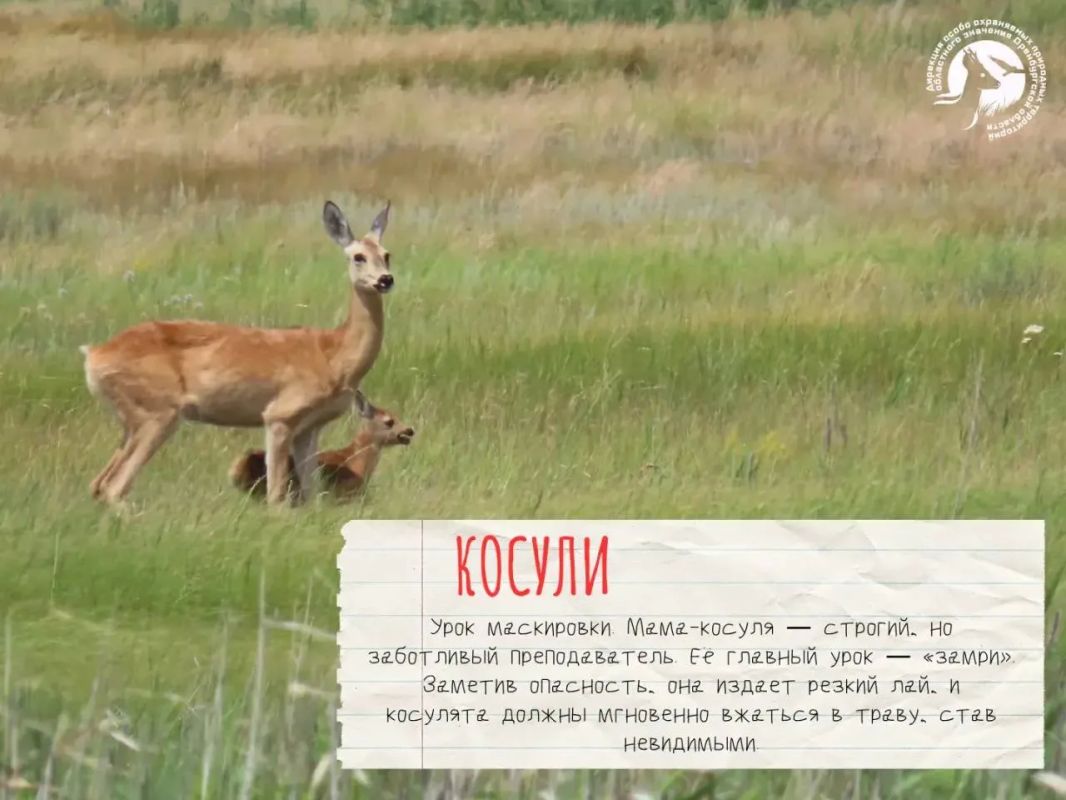 У природы в Оренбургской области есть свои учителя У природы в Оренбургской области есть свои учителя