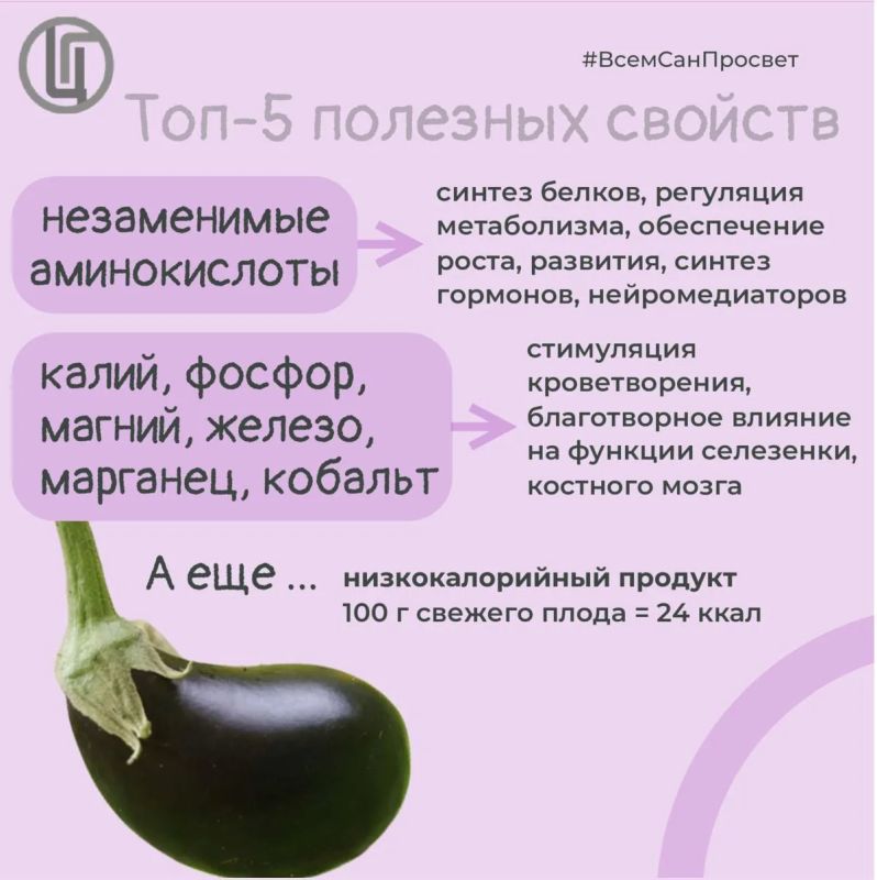 Баклажан — гость из далёких стран, который давно стал своим на российских кухнях Баклажан — гость из далёких стран, который давно стал своим на российских кухнях