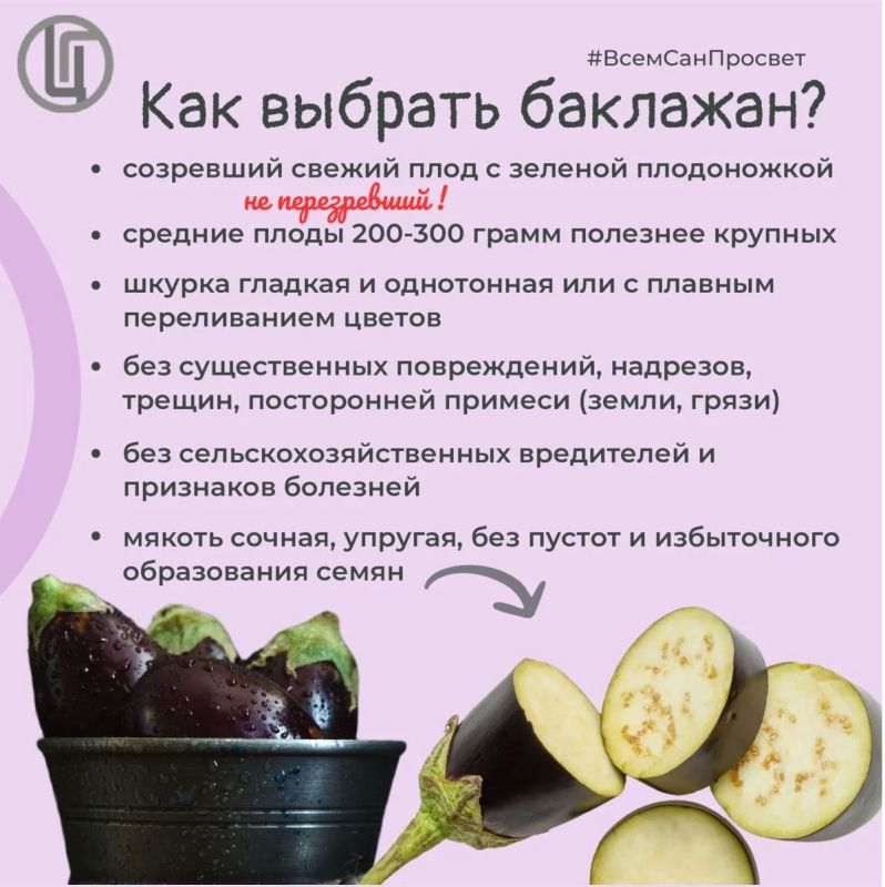 Баклажан — гость из далёких стран, который давно стал своим на российских кухнях Баклажан — гость из далёких стран, который давно стал своим на российских кухнях
