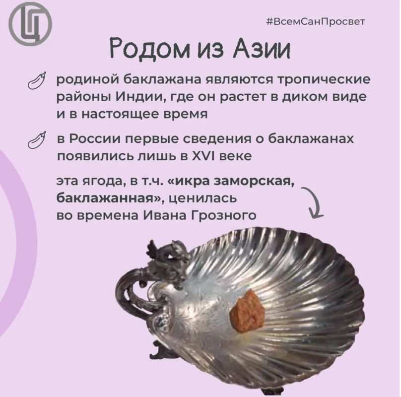 Баклажан — гость из далёких стран, который давно стал своим на российских кухнях Баклажан — гость из далёких стран, который давно стал своим на российских кухнях