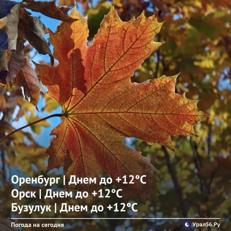 Доброе утро