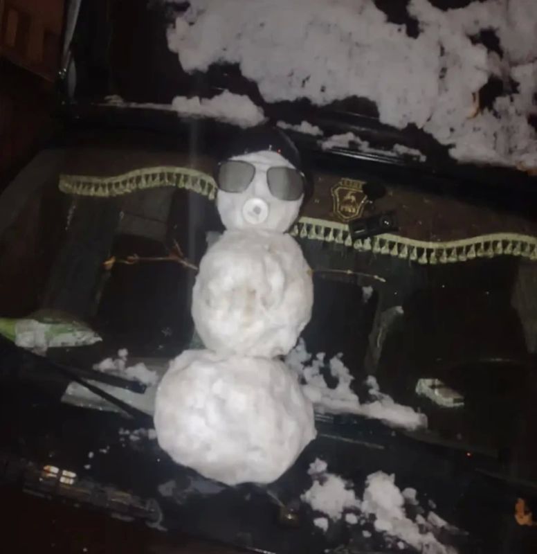 В городах появились первые дети снеговиков В городах появились первые дети снеговиков