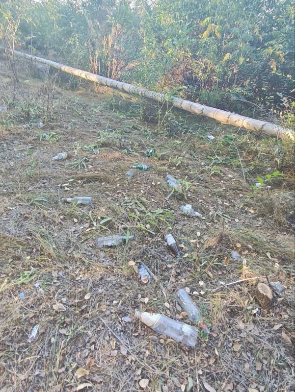 Тротуар на улице Мебельной в Оренбурге превратился в заросшую и замусоренную территорию Тротуар на улице Мебельной в Оренбурге превратился в заросшую и замусоренную территорию