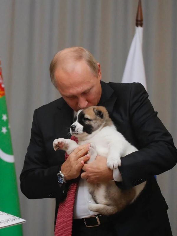 Такой разный, но такой свой! Такой разный, но такой свой!