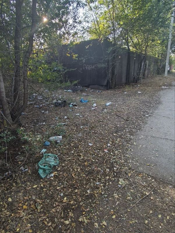 Тротуар на улице Мебельной в Оренбурге превратился в заросшую и замусоренную территорию