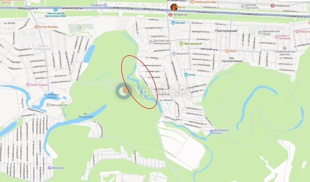 Озеро около поселка Пригородный уберут из перечня рыбоводных мест, так как его границы проложили через жилые участки