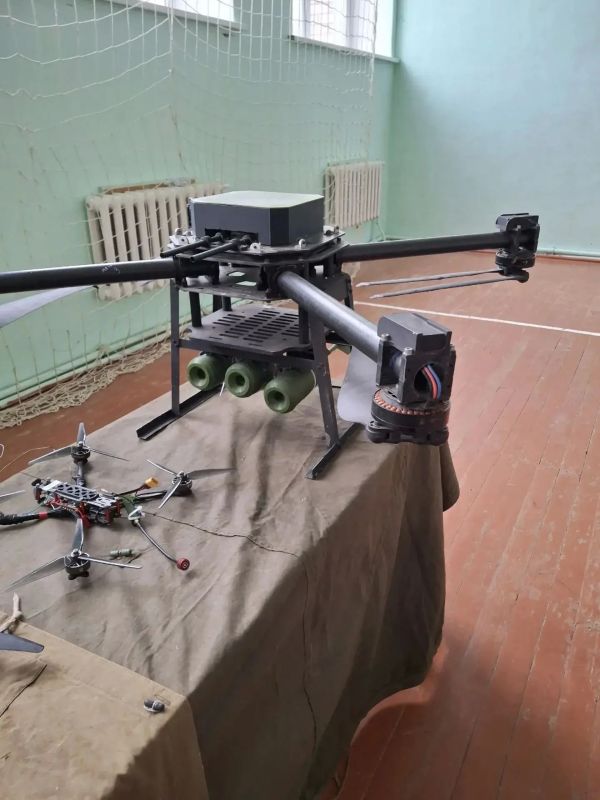 Урок патриотизма: ветераны СВО и казаки встретились с воспитанниками школы в Соль-Илецке Урок патриотизма: ветераны СВО и казаки встретились с воспитанниками школы в Соль-Илецке