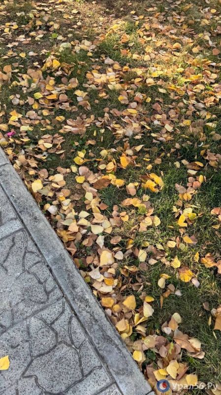 Оренбург сегодня!. Урал56.Ру в МАХ Оренбург сегодня!. Урал56.Ру в МАХ