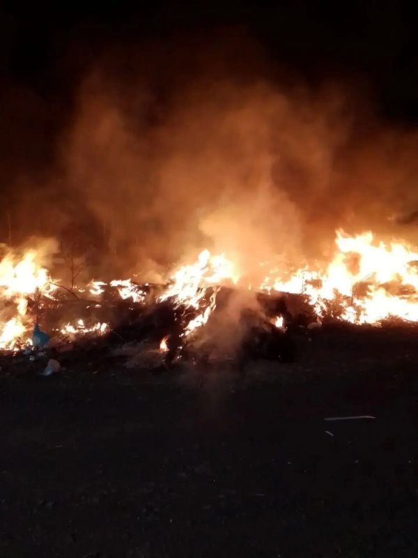 У села Вишнёвое Гайского округа произошел пожар