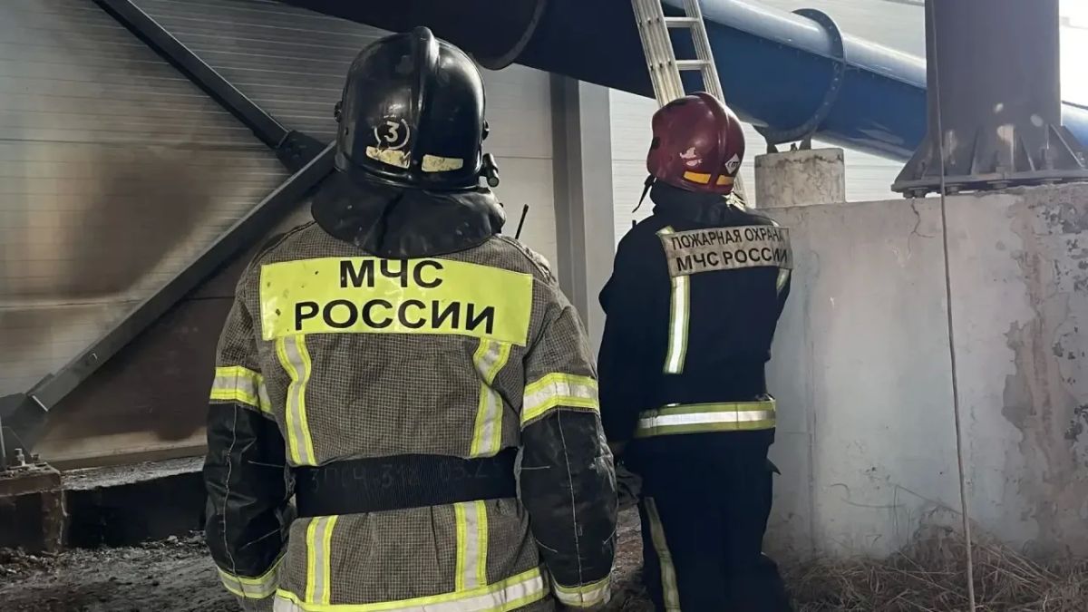 Возгорание у ТРЦ «Кит»: пожар потушили до прибытия МЧС Возгорание у ТРЦ «Кит»: пожар потушили до прибытия МЧС