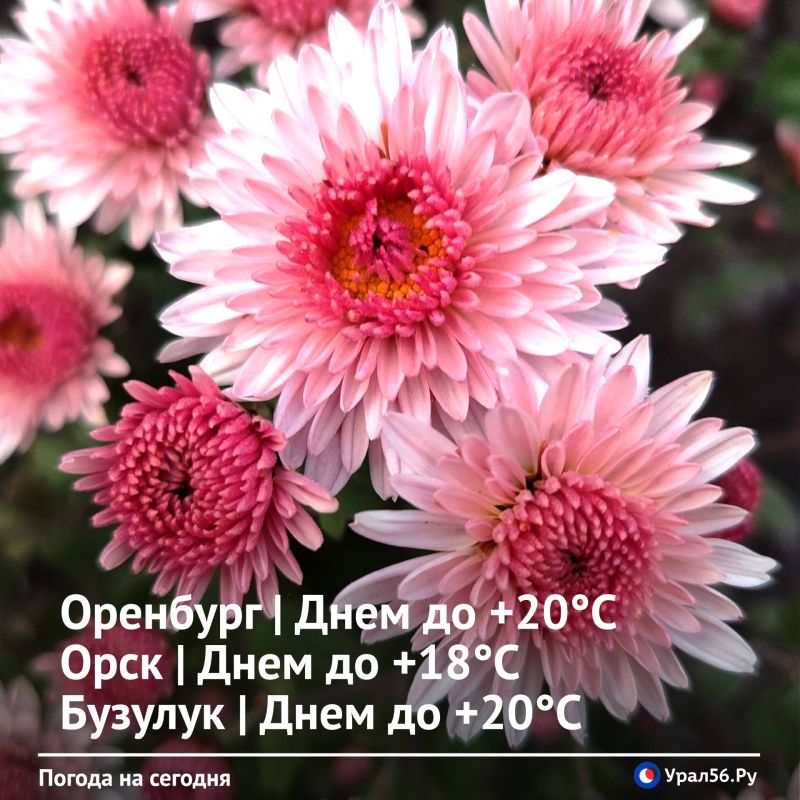 Доброе утро