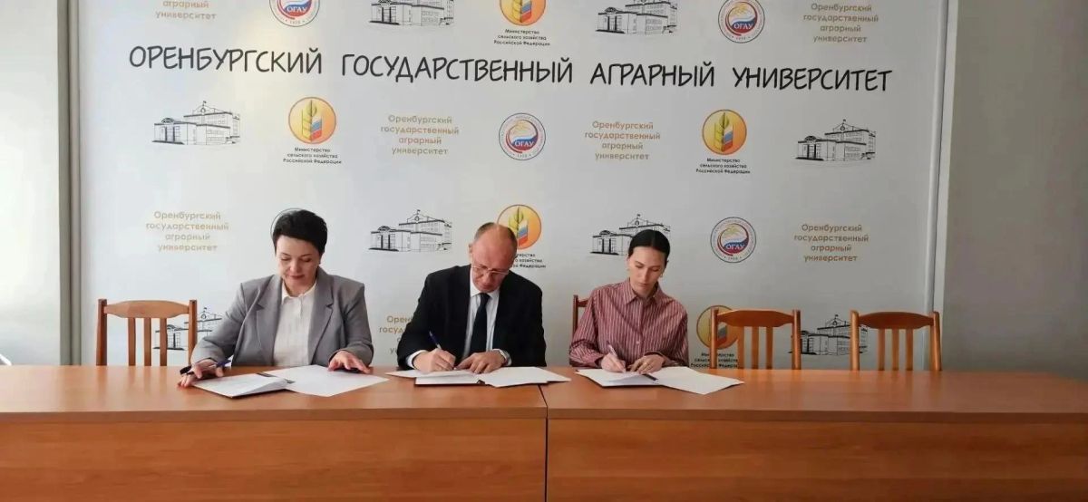 Студенты Оренбуржья осваивают практические навыки в сфере госзакупок