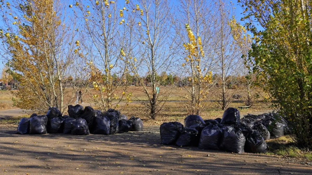 В Оренбурге привели в порядок кладбищенский комплекс «Степной» В Оренбурге привели в порядок кладбищенский комплекс «Степной»