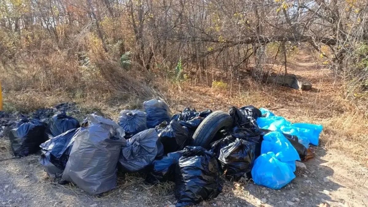 Волонтеры эколого-биологического центра Оренбурга присоединились к всероссийской акции «Чистябрь» Волонтеры эколого-биологического центра Оренбурга присоединились к всероссийской акции «Чистябрь»