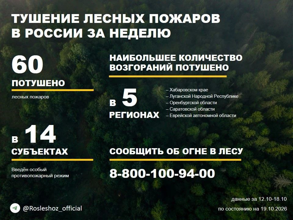 По данным Авиалесоохраны, подведомственной организации Рослесхоза, за прошедшую неделю потушено 60 лесных пожаров в 14 регионах России