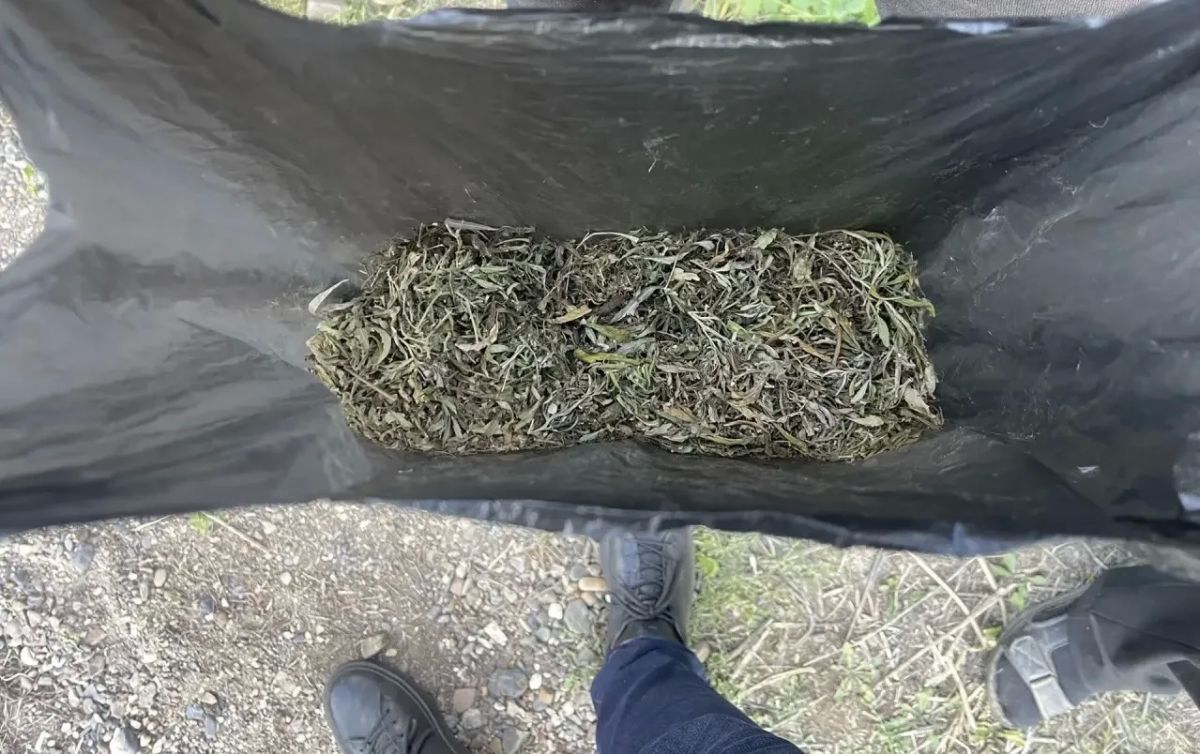 В Оренбургском районе полицейские задержали мужчину с растительным наркотиком