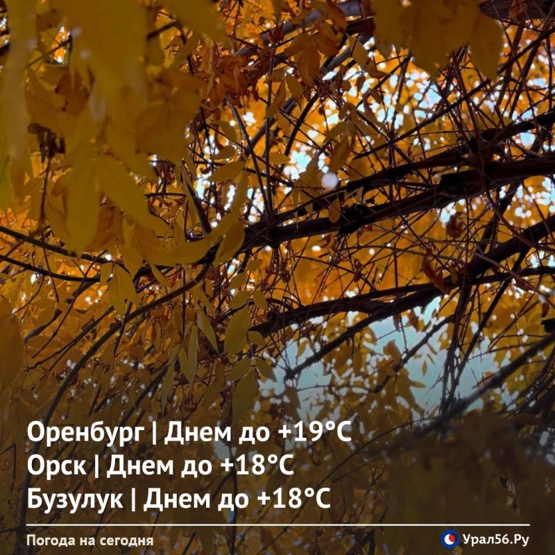 Доброе утро