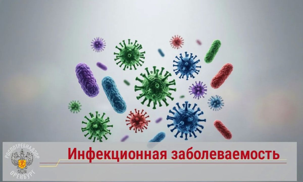 Эпидемиологическая обстановка за 9 месяцев 2026 года в Оренбургской области оставалась стабильной