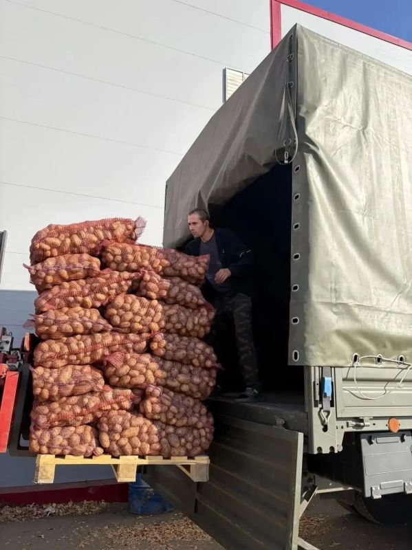 Сотрудники СольИлецкой и Акбулакской больниц передали бойцам СВО 10 тонн картофеля