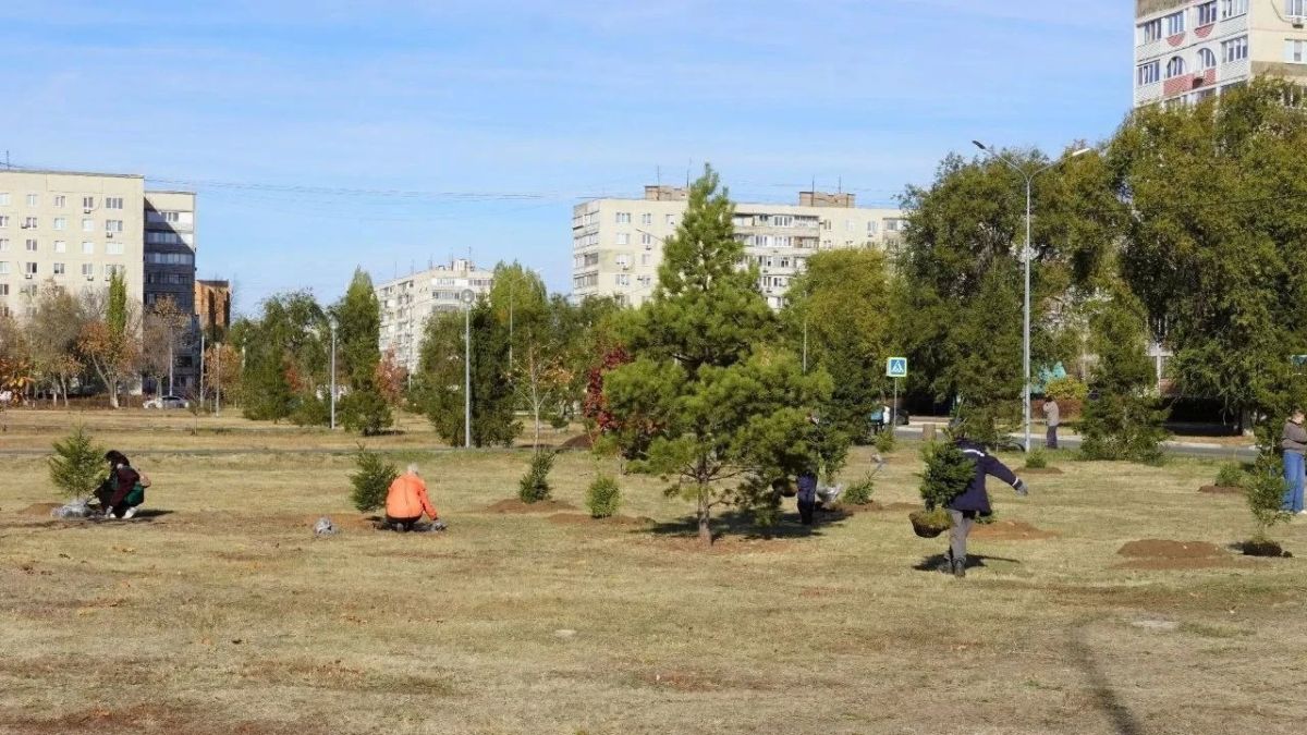 В сквере Прохоренко в Оренбурге высадили 31 молодую ель