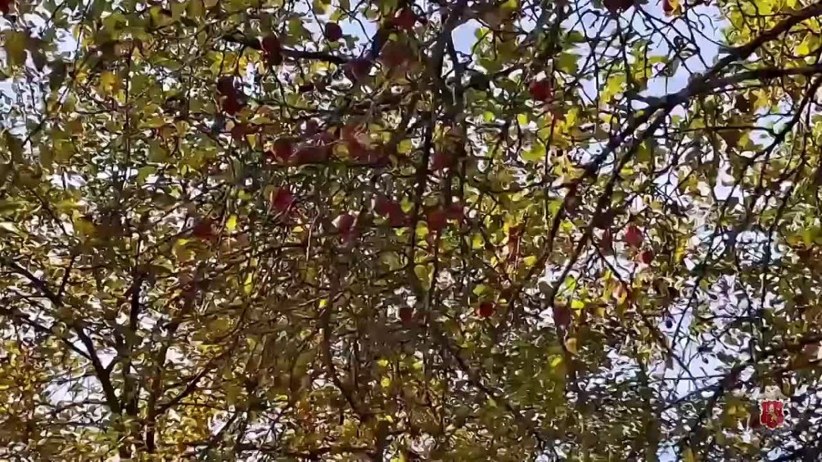 Полицейские по всей стране продолжают поддерживать военнослужащих