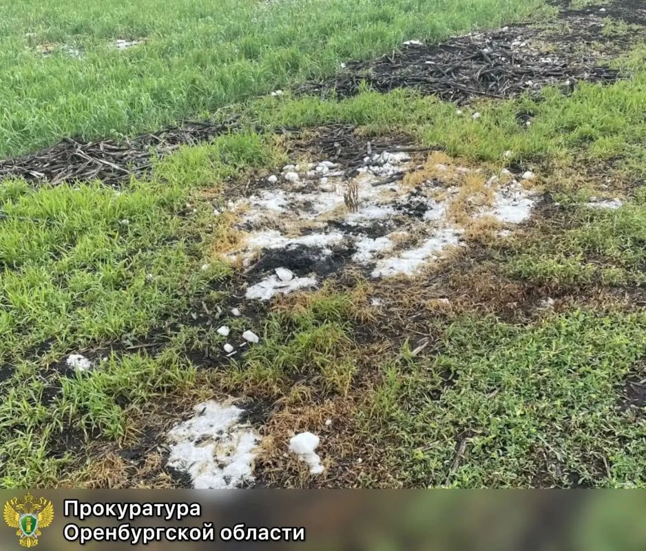 Прокуратура Северного района требует взыскать 300 тыс